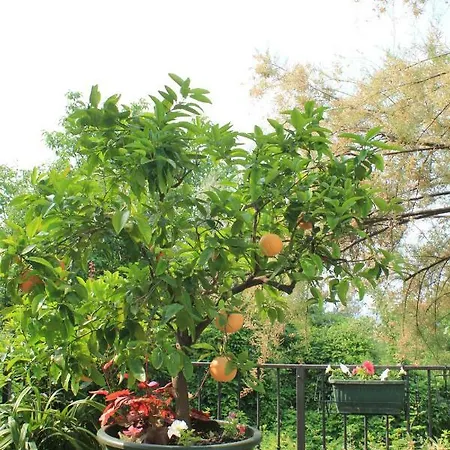Casa Margherita * كابرينو فيرونيسي
