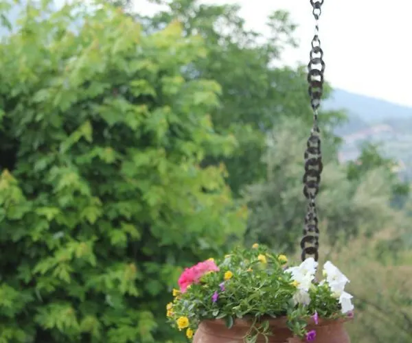 Daire Casa Margherita